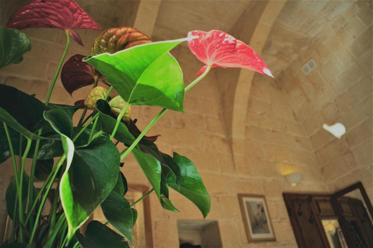 Encanto Vegetarian Bed & Breakfast Xagħra Exterior foto