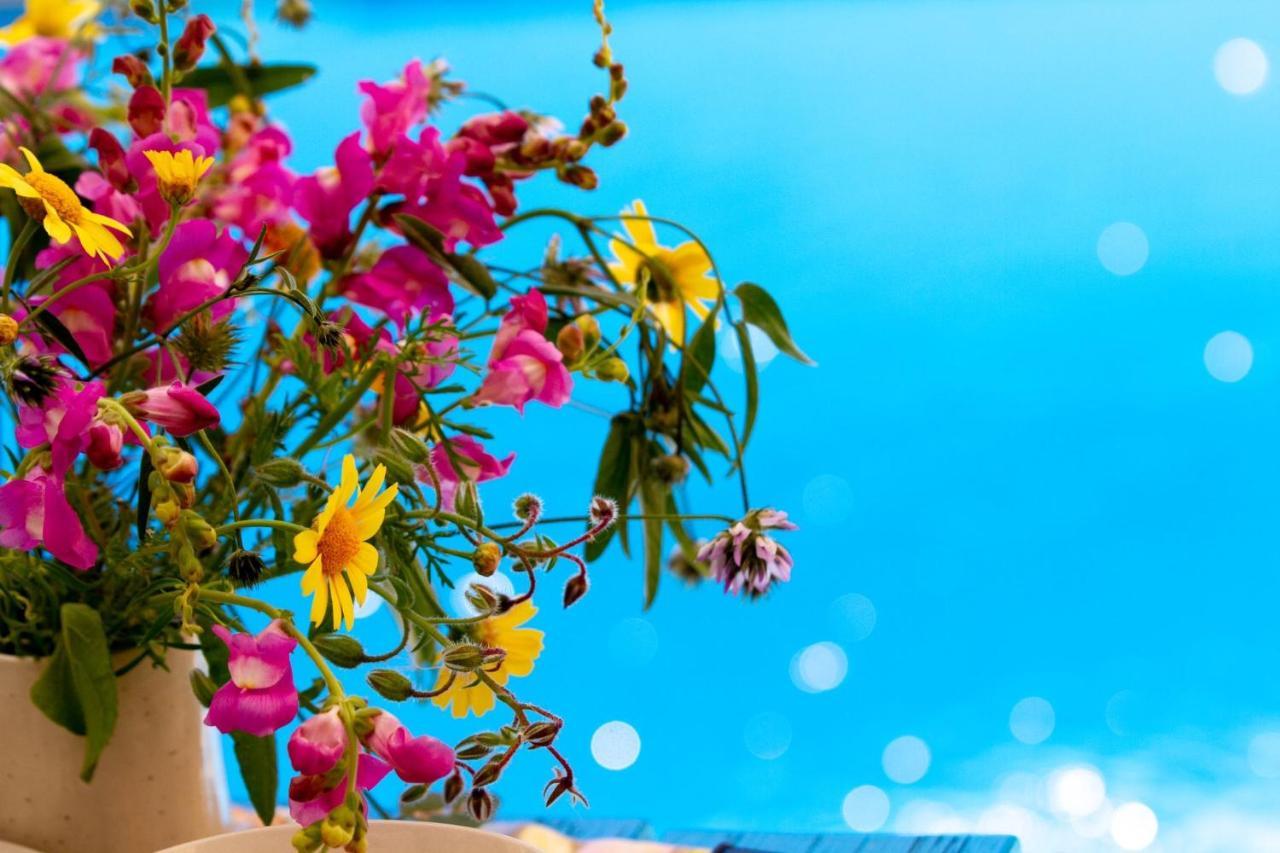 Encanto Vegetarian Bed & Breakfast Xagħra Exterior foto
